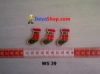 WS 39 medium.jpg